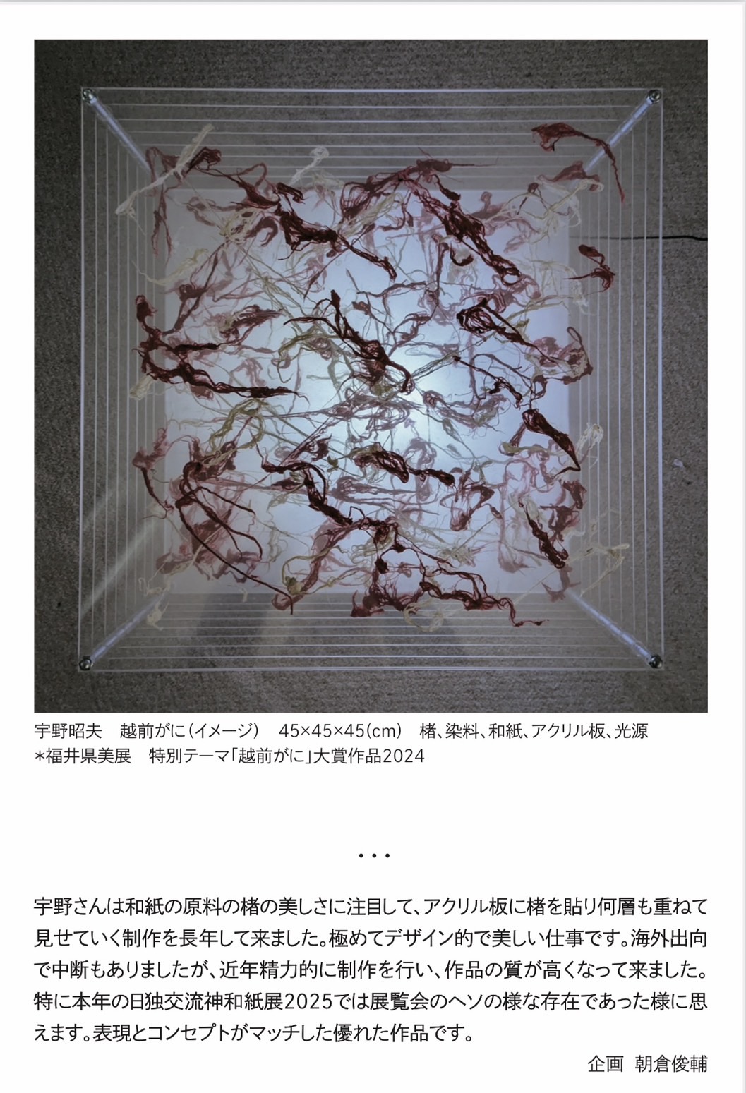 S__55500809